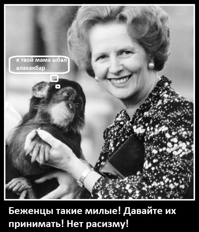 Подборка фото. Разное
