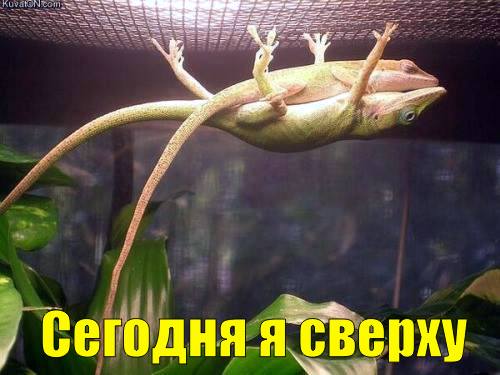Немного позитива на выходной я начну а вы продолжите