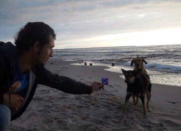 Журнал деградант