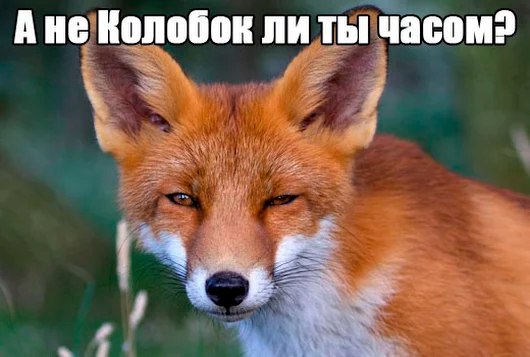 Забавных картинок не хотите ли?