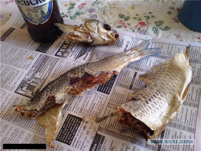 Конец света или вся правда о НАСА