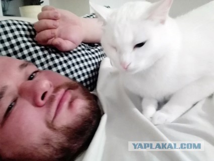 Парализованный котейко чувствует, когда хозяин приходит домой