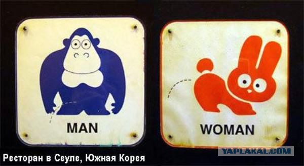 Прикольные туалетные таблички