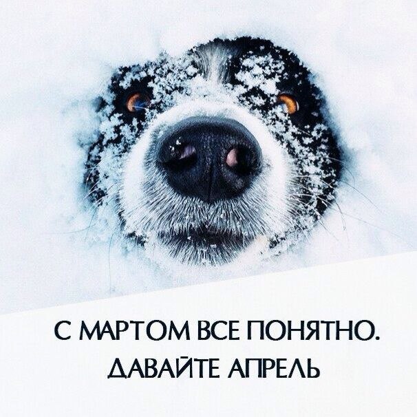 Специфичного юмора псто