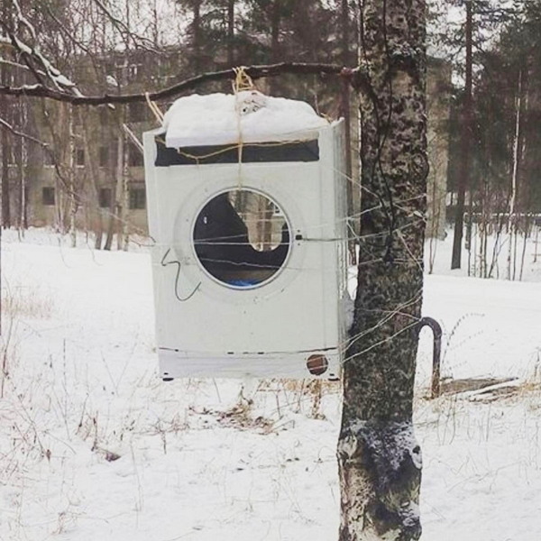 Нестандартный юмор