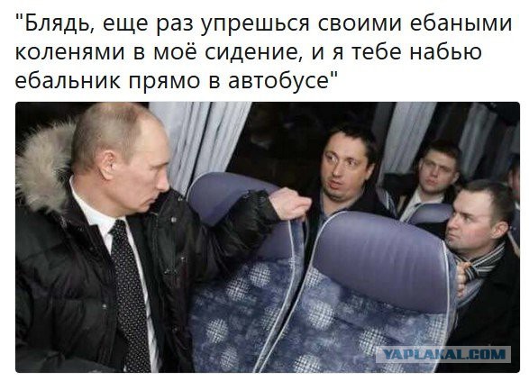 Работа не волк, но картинки сами себя не посмотрят!