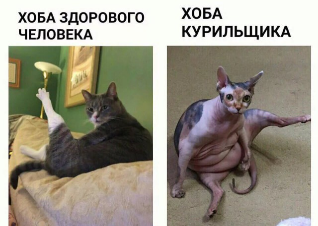 Итоги проверки пользователей