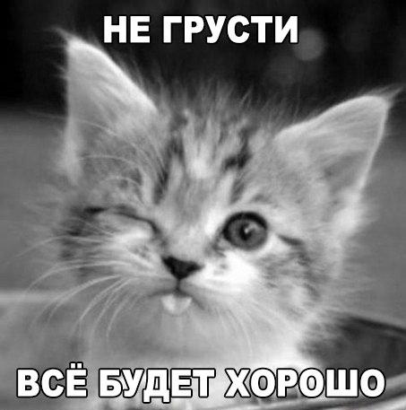 Женщина требует эксгумации, чтобы подтвердить отцовство и отжать квартиру