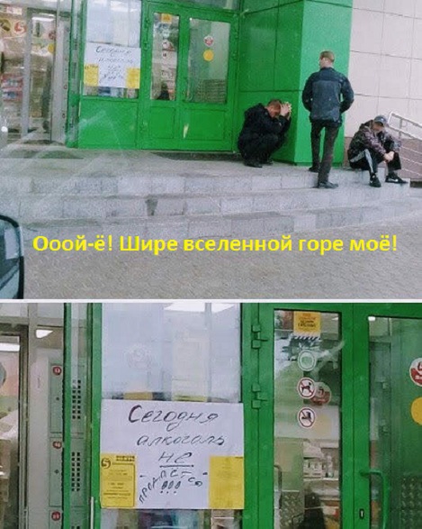 Прикольные картинки