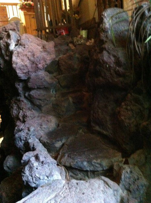 Тихий пруд... внутри дома!