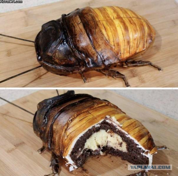 Накипело уже. Тараканы, о которых все забыли..