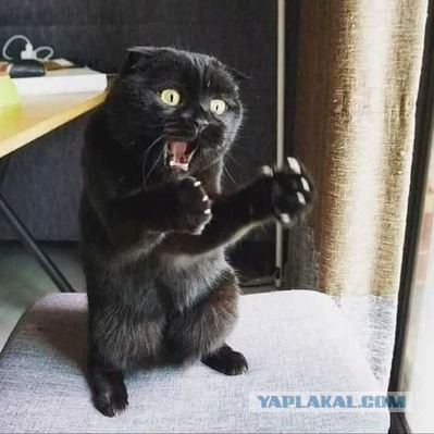 Набор разных картинок 17/10