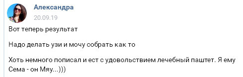 Помогите вернуть кота! Приют "Преданное сердце" украл кота и не отдает!