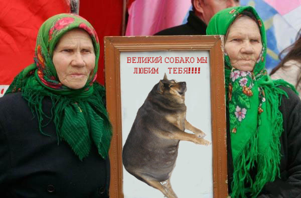 Фотожаба: О чем же думает собака?....