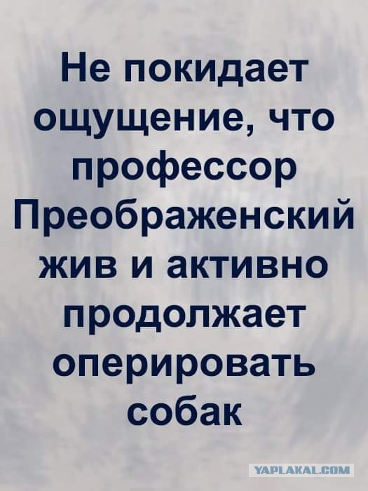 Бредзона 02.05.20