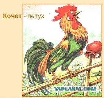Когда мужчине пора снизить планку