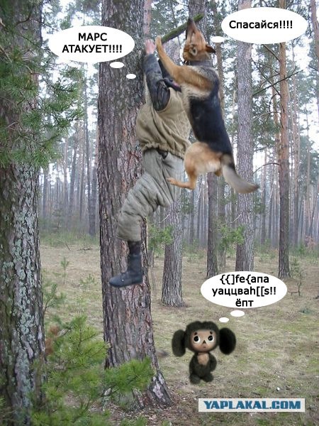 Фотожаба: Охотник и его верный пес