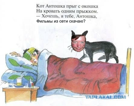 Кот, Антошка и порошок