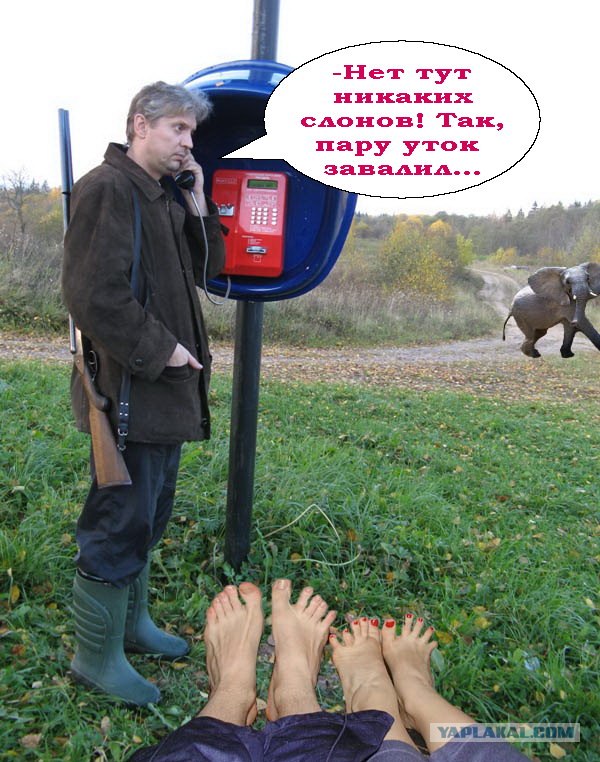 Фотожаба: Охотник у телефона