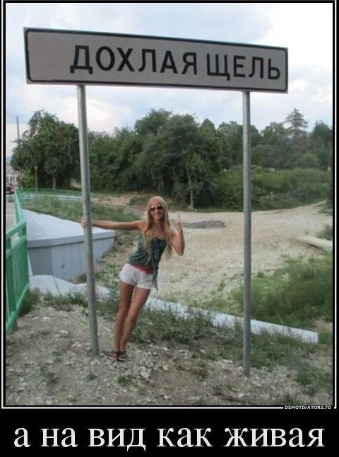 Вот еще немного слегка пошлых картинок с надписями и без 16+ (11.08)