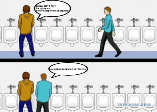 Господин Пашкетт, я приглашаю Вас на дуэль!