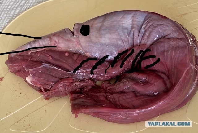 Беш-панжа, или Пятипалый шашлык