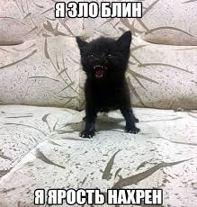 Картинки с надписями и котами