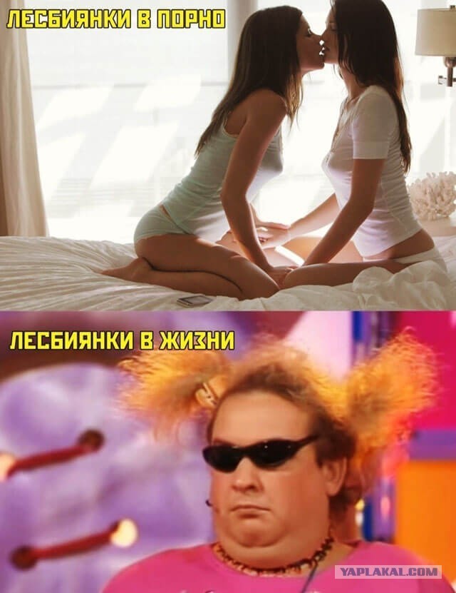 Весёлый полтишок 11.03