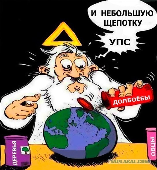 Крик души