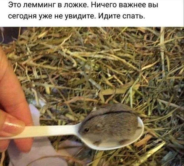 Картинки и мемы для настроения 020