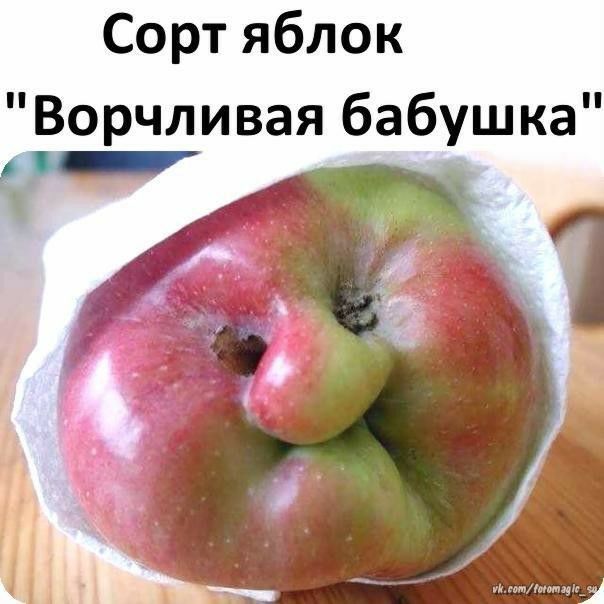 Картинки и мемы для настроения 020