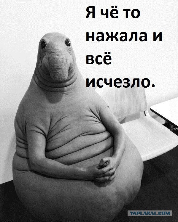 Китайцы считают, что мы предали идеалы коммунизма и нам не место в Сибири