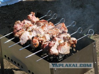 Шашлык, рецепты маринада, все про шашлык!