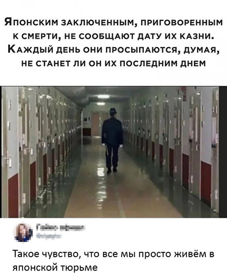 35 картинок разных 29.06.2021