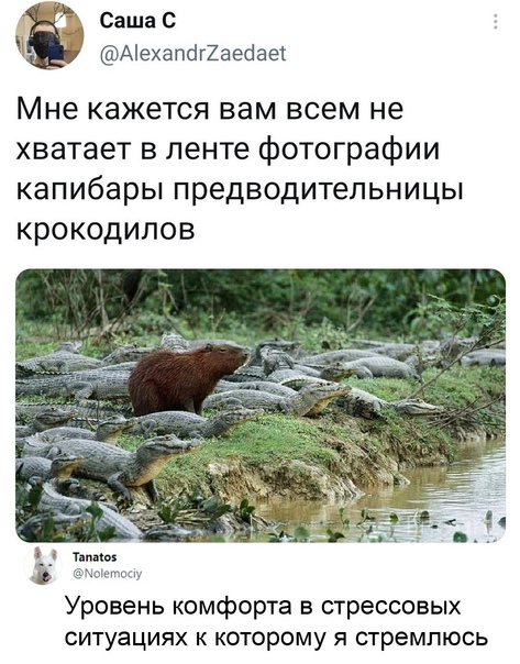 Картинки и мемы для настроения 11.08.2021