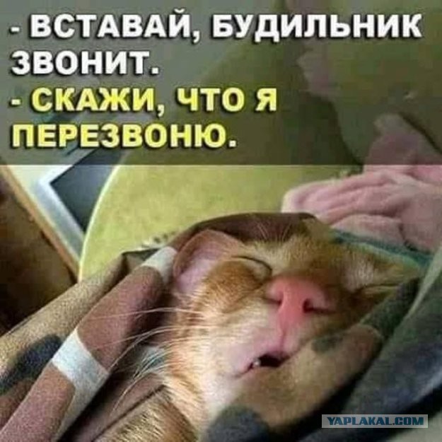 Юмор в картинках 16.08.21