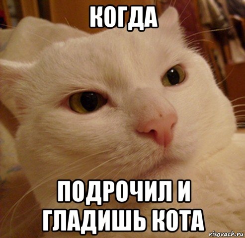 Абсолютное счастье