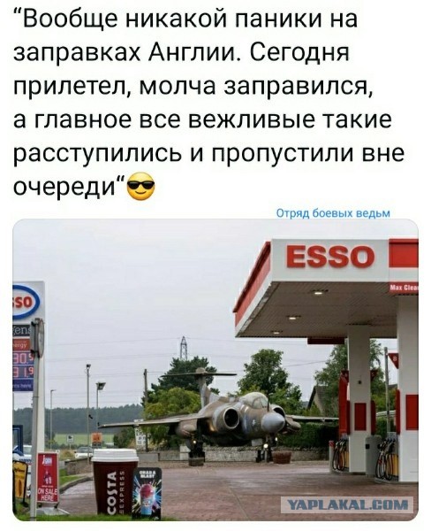 Всяческие картинки 02.11.2021