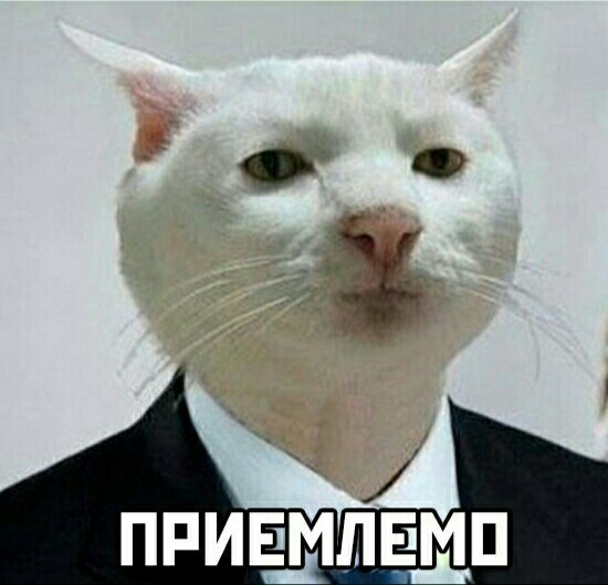 Везде бы так