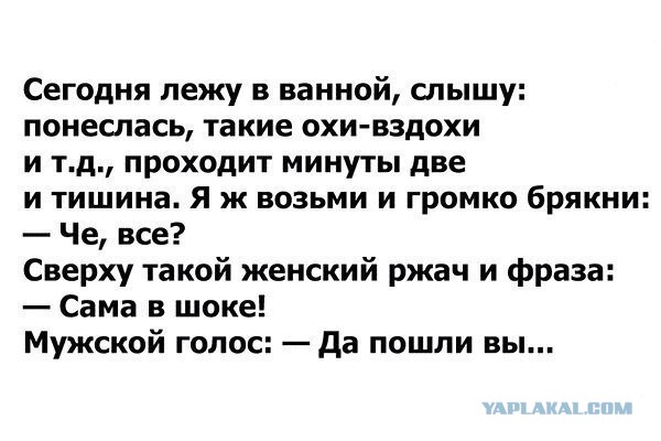 Забавные шутки, фразы, картинки из этих ваших интернетов