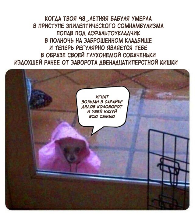 Аморальная деградация