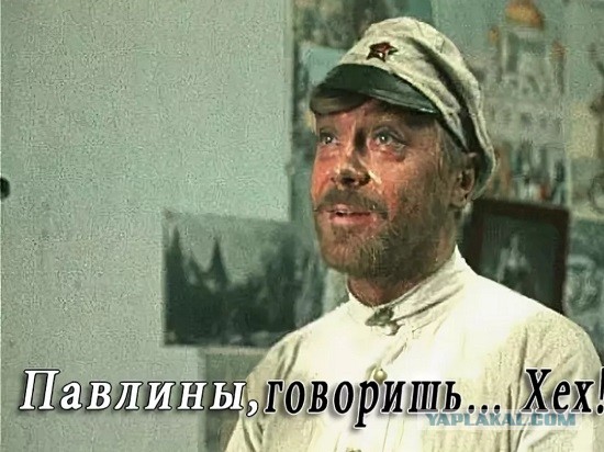 Какого бренда одежду вы покупаете?