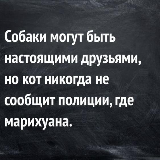 Так себе картинки 14.04.22