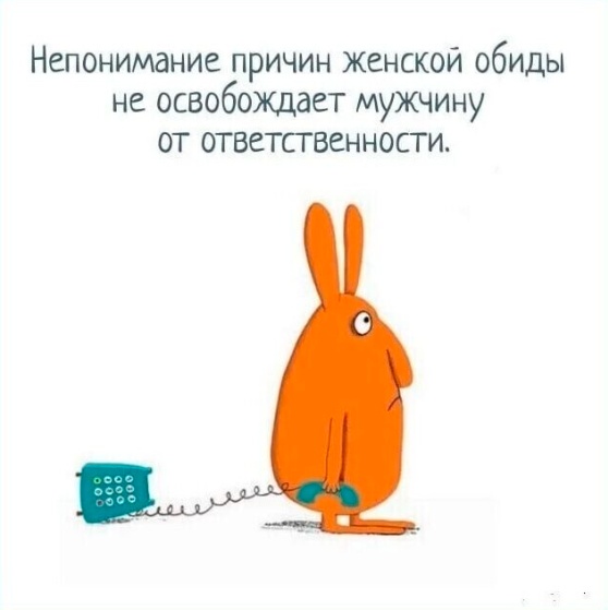 Так себе картинки 21.04.22