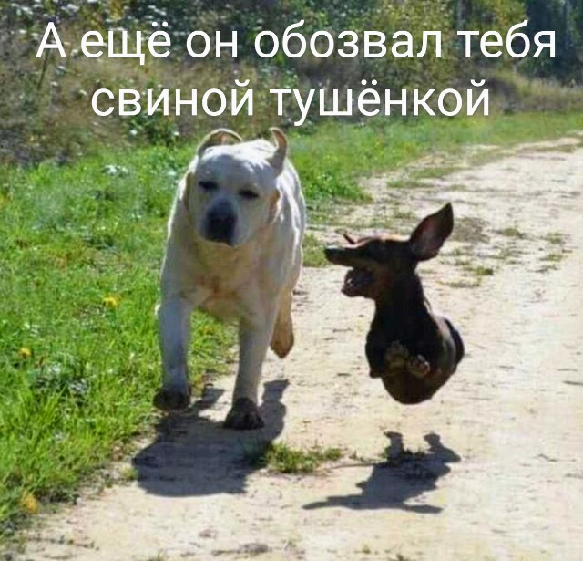 Картинки и мемы для настроения - 27