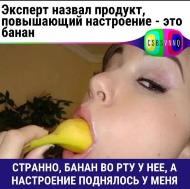 Весёлый полтишок 08.08.22