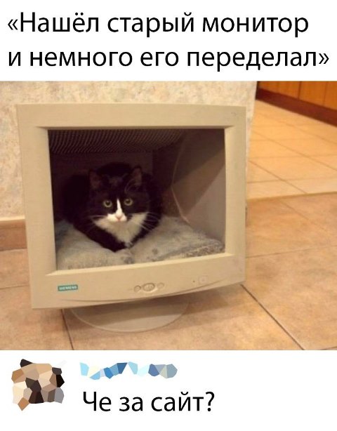 Так себе картинки 01.10.22