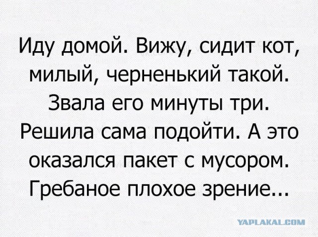 Чуток картинок 11.10.22