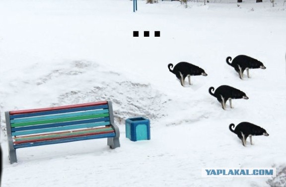 Смотрите на всех форумах страны