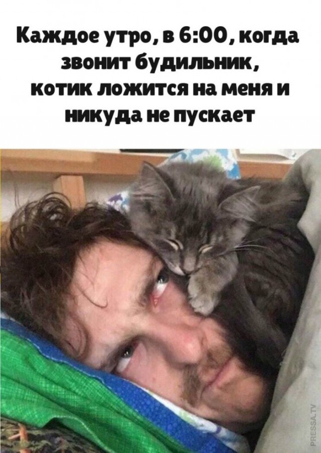 Картинки и мемы, это май-чародей всяко разно - 177
